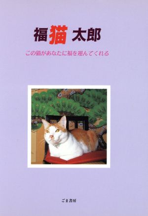 福猫太郎 この猫があなたに福を運んでくれる