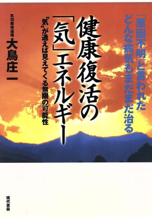 健康復活の「気」エネルギー ＂気＂が通えば見えてくる無限の可能性 「原因不明」と言われたどんな病気もまだまだ治る