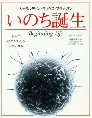 いのち誕生 胎内ではぐくまれる生命の神秘