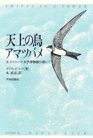 天上の鳥 アマツバメオックスフォード大学博物館の塔にて