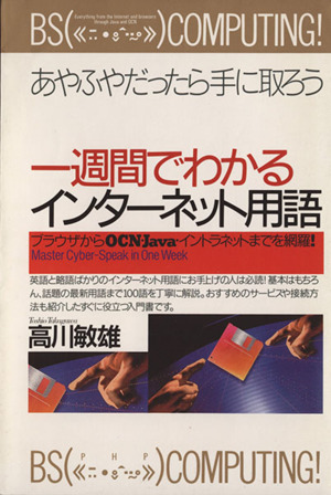 あやふやだったら手に取ろう 一週間でわかるインターネット用語 ブラウザからOCN・Java・イントラネットまでを網羅！ PHPビジネス選書