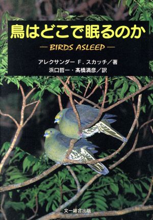 鳥はどこで眠るのか