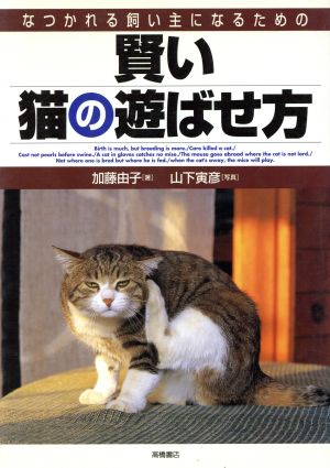 賢い猫の遊ばせ方 なつかれる飼い主になるための