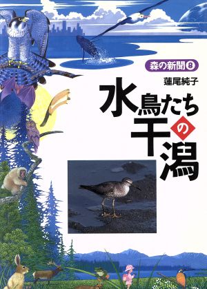 水鳥たちの干潟 森の新聞8