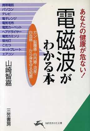 電磁波がわかる本 あなたの健康が危ない！ 知的生きかた文庫