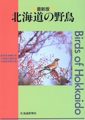 北海道の野鳥