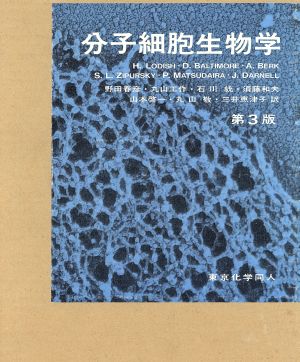 分子細胞生物学 第3版 2冊セット