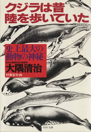 クジラは昔 陸を歩いていた 史上最大の動物の神秘 PHP文庫