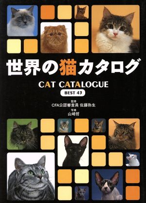 世界の猫カタログ BEST43Best 43