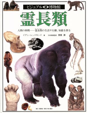 霊長類人間の仲間 霊長類の生活や行動、知能を探るビジュアル博物館64