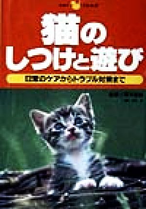 猫のしつけと遊び 日常のケアからトラブル対策まで