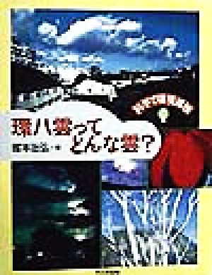 科学で環境探検 環八雲ってどんな雲？