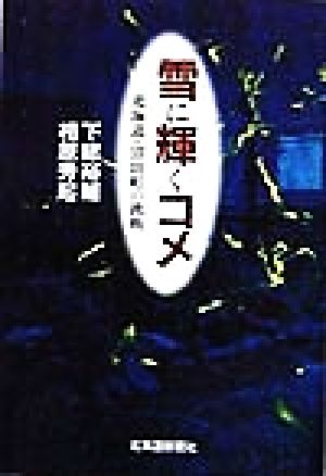 雪に輝くコメ 北海道・沼田町の挑戦