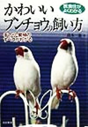 医食住がよくわかる かわいいブンチョウの飼い方 手のり・繁殖のすべてがわかる