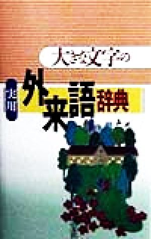 大きな文字の実用外来語辞典