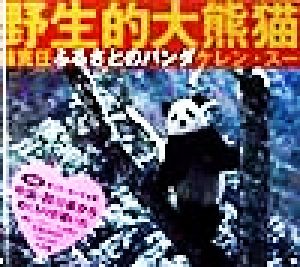 ふるさとのパンダ野生的大熊猫