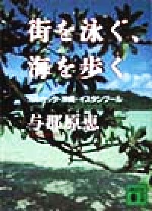 街を泳ぐ、海を歩くカルカッタ・沖縄・イスタンブール講談社文庫