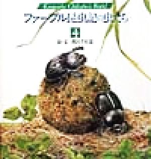 ファーブル昆虫記の虫たち(4)Kumada Chikabo's World