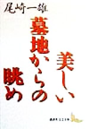 美しい墓地からの眺め 講談社文芸文庫