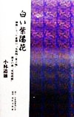 白い紫陽花 禅僧になった悲劇の「元伯州・米子城」城主の弟「荒尾成慶」