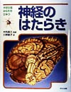 神経のはたらき 学習図鑑からだのひみつ