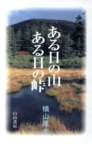 ある日の山 ある日の峠