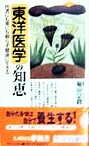 東洋医学の知恵 医者にも薬にも頼らず健康に生きる KAWADE夢新書