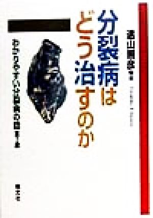 分裂病はどう治すのか(第2部) わかりやすい分裂病の話 わかりやすい分裂病の話第2部