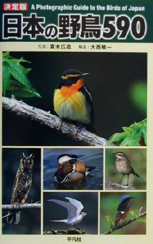 日本の野鳥590