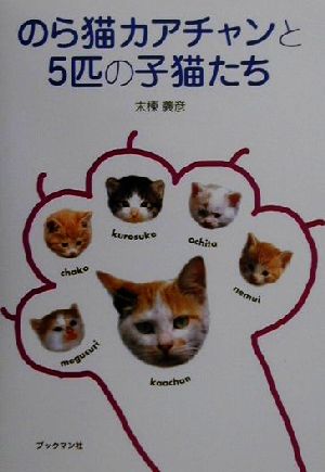 のら猫カアチャンと5匹の子猫たち