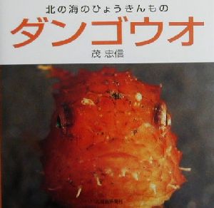 北の海のひょうきんもの ダンゴウオ 北の海のひょうきんもの