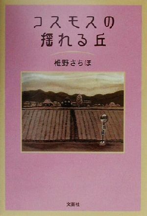 コスモスの揺れる丘