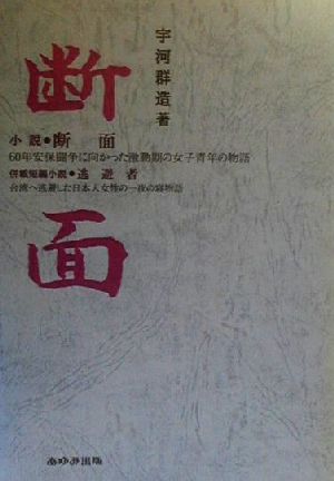 小説 断面