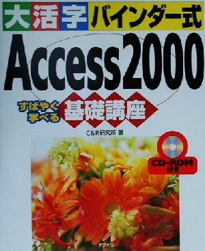 大活字バインダー式 Access2000すばやく学べる基礎講座 すばやく学べる