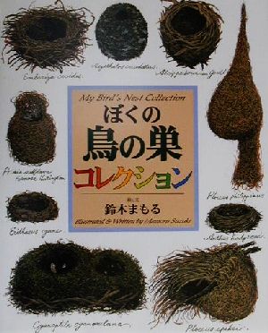 ぼくの鳥の巣コレクション