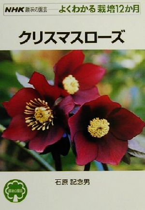 趣味の園芸 クリスマスローズよくわかる栽培12か月NHK趣味の園芸