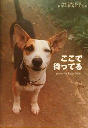 ここで待ってる 世界の街角の犬たち POSTCARD BOOK