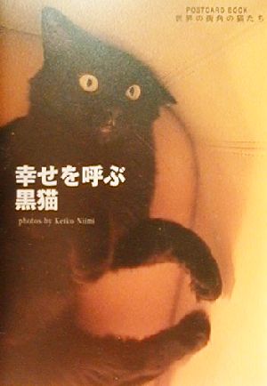 幸せを呼ぶ黒猫 世界の街角の猫たち POSTCARD BOOK