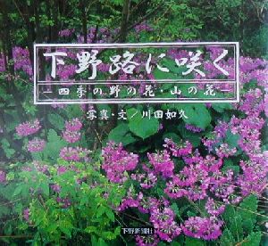 下野路に咲く 四季の野の花・山の花