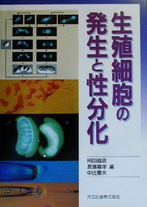 生殖細胞の発生と性分化