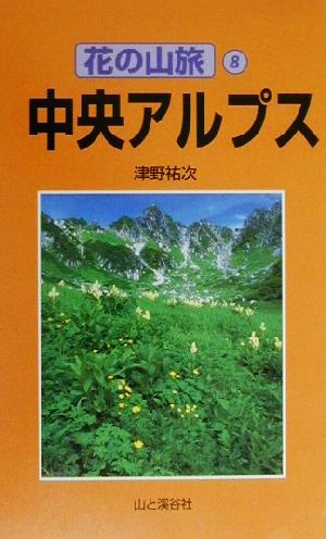 中央アルプス 花の山旅8