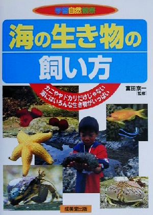 海の生き物の飼い方 カニやヤドカリだけじゃない 海にはいろんな生き物がいっぱい 学習自然観察