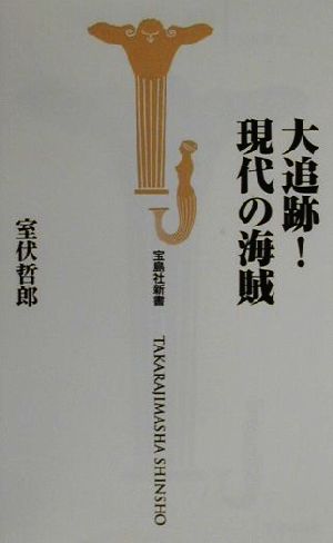 大追跡！現代の海賊 宝島社新書