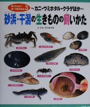 砂浜・干潟の生きものの飼いかた カニ・ウミホタル・クラゲほか 飼ってみよう！海べの生きもの3