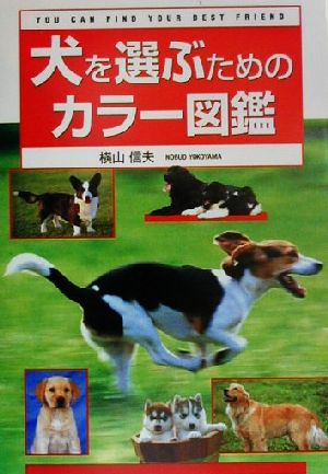 犬を選ぶためのカラー図鑑