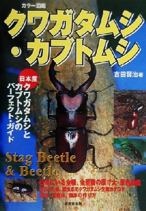 クワガタムシ・カブトムシ 日本産クワガタムシとカブトムシのパーフェクト・ガイド カラー図鑑