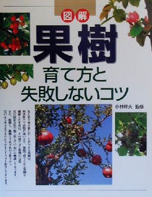 図解 果樹 育て方と失敗しないコツ