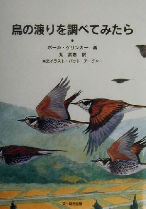 鳥の渡りを調べてみたら