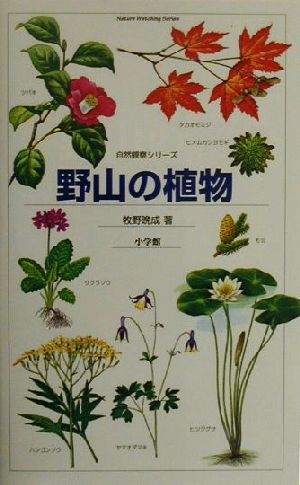 野山の植物 自然観察シリーズ