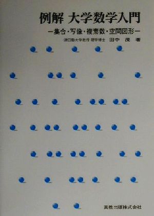 例解 大学数学入門 集合・写像・複素数・空間図形